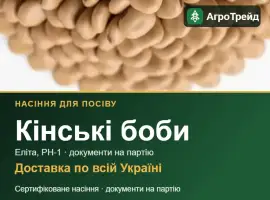 Продам насіння кінських бобів