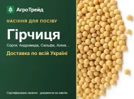 Зображення для оголошення Продам насіння гірчиці