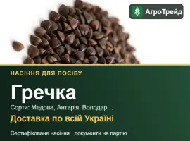 Зображення для оголошення Продам насіння гречки