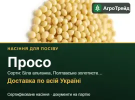 Зображення для оголошення Продам насіння проса