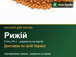 Продам насіння рижію