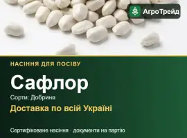 Продам насіння сафлору