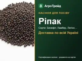 Зображення для оголошення Продам насіння ріпаку
