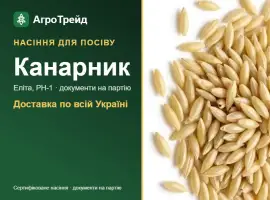 Продам насіння канарника