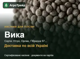 Зображення для оголошення Продам насіння вики