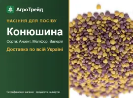 Зображення для оголошення Продам насіння конюшини