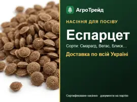 Зображення для оголошення Продам насіння еспарцету