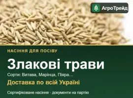 Зображення для оголошення Продам насіння злакових трав