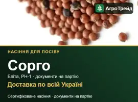 Продам насіння сорго