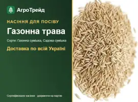 Зображення для оголошення Продам насіння газонної трави