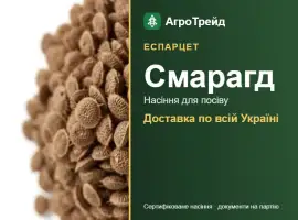 Зображення для оголошення Продам насіння еспарцету Смарагд
