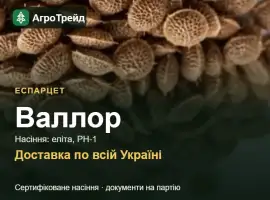 Зображення для оголошення Продам насіння еспарцету Валлор