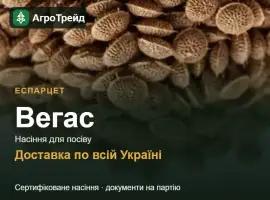 Зображення для оголошення Еспарцет Вегас