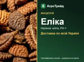 Зображення для оголошення Фацелія Еліка