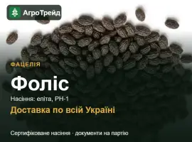 Зображення для оголошення Фоліс — фацелія, насіння
