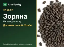 Зображення для оголошення Купити насіння фацелії Зоряна