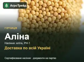 Зображення для оголошення Продам насіння гірчиці Аліна