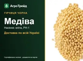 Зображення для оголошення Продам насіння гірчиці чорної Медіва