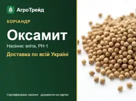 Зображення для оголошення Оксамит — коріандр, насіння