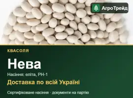 Зображення для оголошення Продам насіння квасолі Нева
