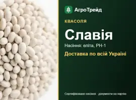 Зображення для оголошення Квасоля Славія — насіння