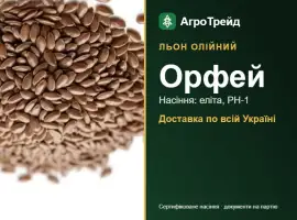 Орфей — льон олійний, насіння