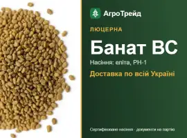 Зображення для оголошення Люцерна Банат ВС