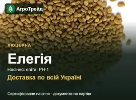 Зображення для оголошення Люцерна Елегія