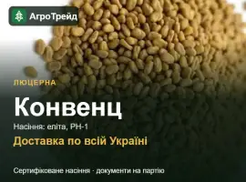 Зображення для оголошення Люцерна Конвенц