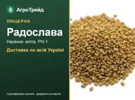 Зображення для оголошення Купити насіння люцерни Радослава