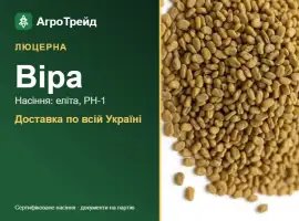 Зображення для оголошення Продам насіння люцерни Віра