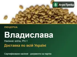 Зображення для оголошення Люцерна Владислава