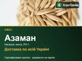 Зображення для оголошення Овес Азаман