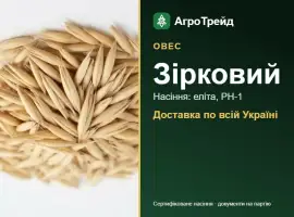 Зображення для оголошення Насіння вівса Зірковий