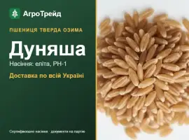 Зображення для оголошення Насіння твердої озимої пшениці Дуняша