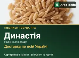 Зображення для оголошення Династія — пшениця тверда яра, насіння