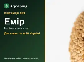 Зображення для оголошення Продам насіння ярої пшениці Емір