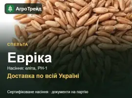 Зображення для оголошення Продам насіння спельти Евріка