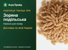 Зображення для оголошення Насіння твердої ярої пшениці Зоряна подільська