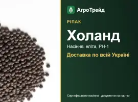 Зображення для оголошення Холанд — ріпак, насіння