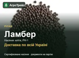 Зображення для оголошення Купити насіння ріпаку Ламбер