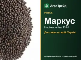 Зображення для оголошення Маркус — ріпак, насіння