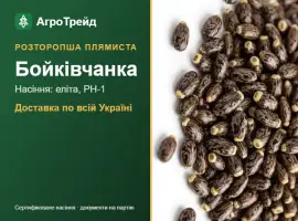 Зображення для оголошення Розторопша плямиста Бойківчанка