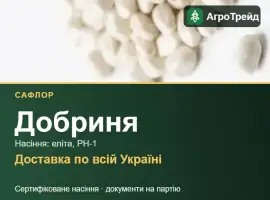 Купити насіння сафлору Добриня