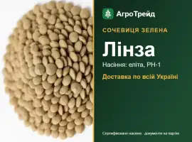 Лінза — сочевиця зелена, насіння