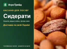 Зображення для оголошення Продам сидерати: фацелія, редька, гірчиця
