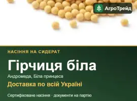 Зображення для оголошення Гірчиця біла на сидерат — насіння