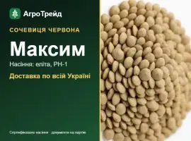 Сочевиця червона Максим