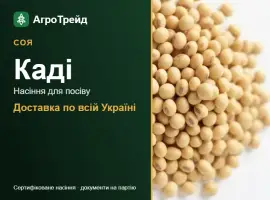 Зображення для оголошення Каді — соя, насіння