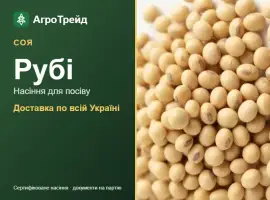 Зображення для оголошення Рубі — соя, насіння